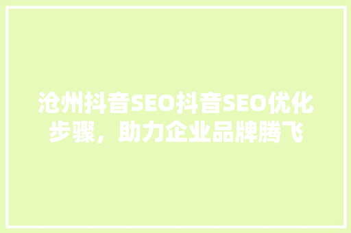 沧州抖音SEO抖音SEO优化步骤，助力企业品牌腾飞