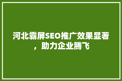 河北霸屏SEO推广效果显著，助力企业腾飞