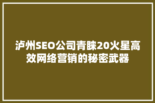 泸州SEO公司青睐20火星高效网络营销的秘密武器