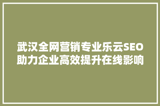 武汉全网营销专业乐云SEO助力企业高效提升在线影响力