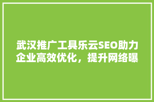 武汉推广工具乐云SEO助力企业高效优化，提升网络曝光度