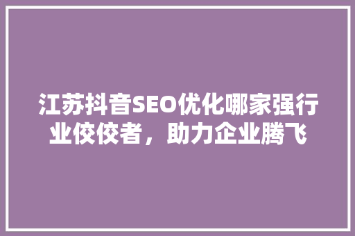 江苏抖音SEO优化哪家强行业佼佼者，助力企业腾飞