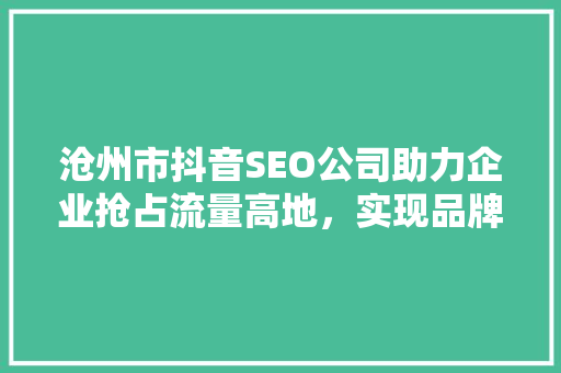 沧州市抖音SEO公司助力企业抢占流量高地，实现品牌腾飞