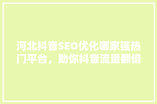 河北抖音SEO优化哪家强热门平台，助你抖音流量翻倍