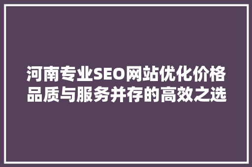 河南专业SEO网站优化价格品质与服务并存的高效之选