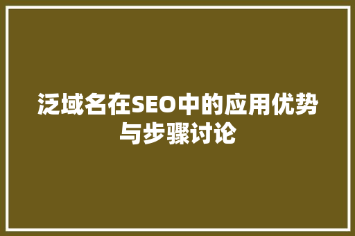 泛域名在SEO中的应用优势与步骤讨论