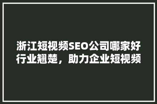 浙江短视频SEO公司哪家好行业翘楚，助力企业短视频营销