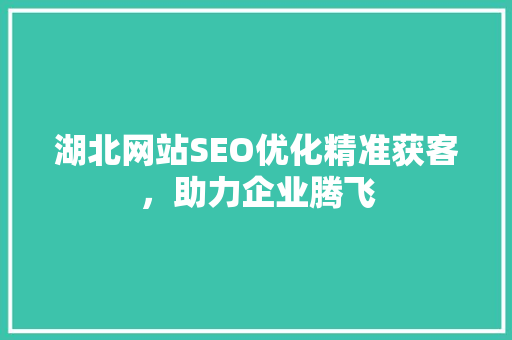 湖北网站SEO优化精准获客，助力企业腾飞