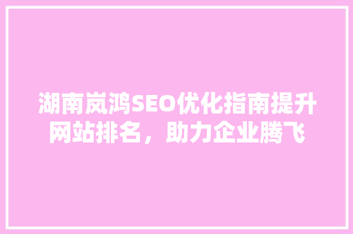 湖南岚鸿SEO优化指南提升网站排名，助力企业腾飞