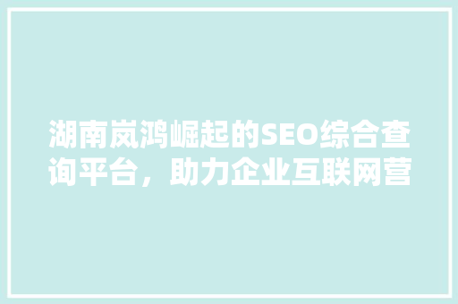 湖南岚鸿崛起的SEO综合查询平台，助力企业互联网营销新突破