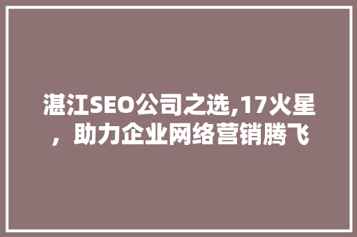 湛江SEO公司之选,17火星，助力企业网络营销腾飞