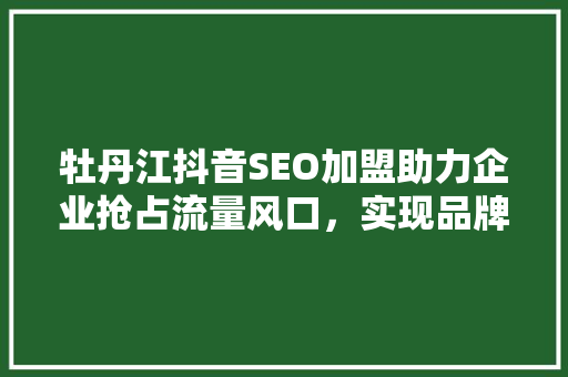 牡丹江抖音SEO加盟助力企业抢占流量风口，实现品牌飞跃