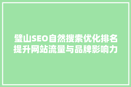 璧山SEO自然搜索优化排名提升网站流量与品牌影响力的方法