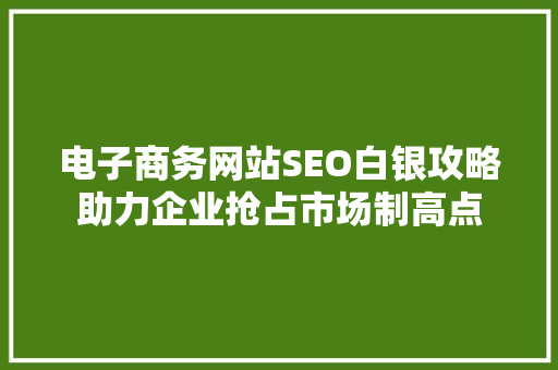 电子商务网站SEO白银攻略助力企业抢占市场制高点