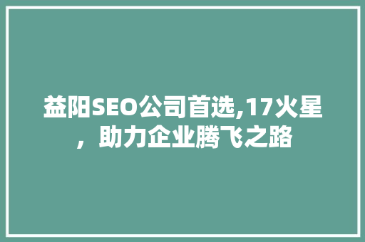 益阳SEO公司首选,17火星，助力企业腾飞之路