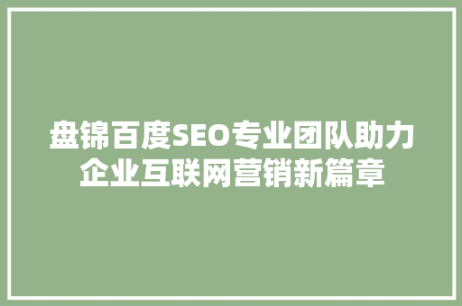 盘锦百度SEO专业团队助力企业互联网营销新篇章