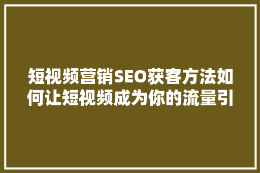 短视频营销SEO获客方法如何让短视频成为你的流量引擎