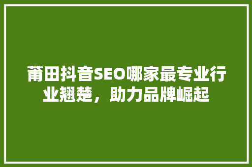 莆田抖音SEO哪家最专业行业翘楚，助力品牌崛起