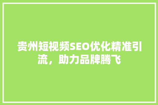 贵州短视频SEO优化精准引流，助力品牌腾飞
