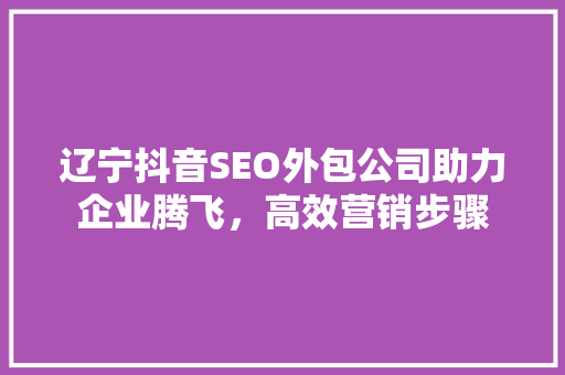 辽宁抖音SEO外包公司助力企业腾飞，高效营销步骤