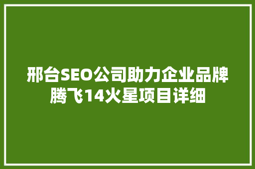 邢台SEO公司助力企业品牌腾飞14火星项目详细
