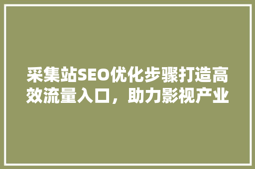 采集站SEO优化步骤打造高效流量入口，助力影视产业蓬勃发展