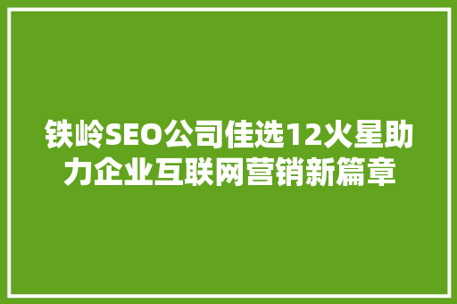 铁岭SEO公司佳选12火星助力企业互联网营销新篇章