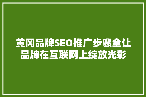 黄冈品牌SEO推广步骤全让品牌在互联网上绽放光彩