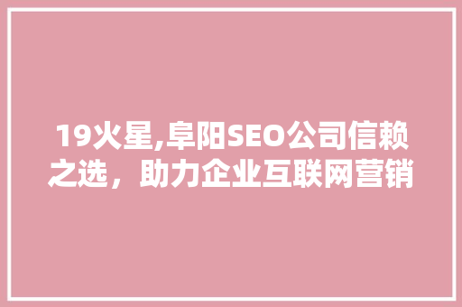 19火星,阜阳SEO公司信赖之选，助力企业互联网营销腾飞