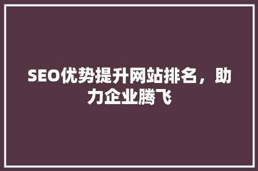SEO优势提升网站排名，助力企业腾飞
