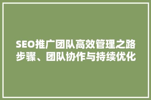 SEO推广团队高效管理之路步骤、团队协作与持续优化