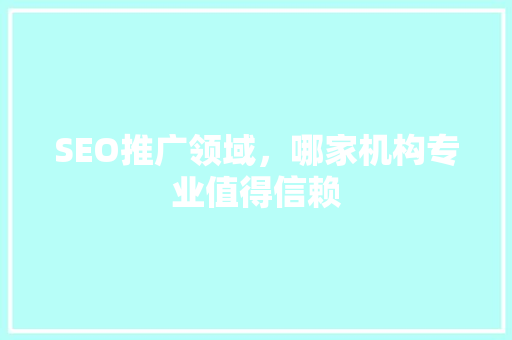 SEO推广领域，哪家机构专业值得信赖