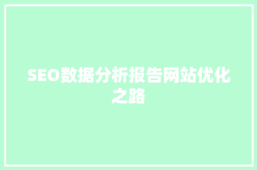 SEO数据分析报告网站优化之路