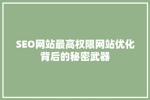 SEO网站最高权限网站优化背后的秘密武器
