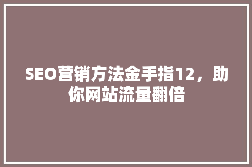 SEO营销方法金手指12，助你网站流量翻倍
