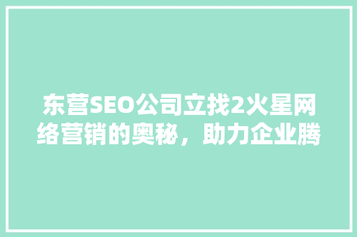 东营SEO公司立找2火星网络营销的奥秘，助力企业腾飞