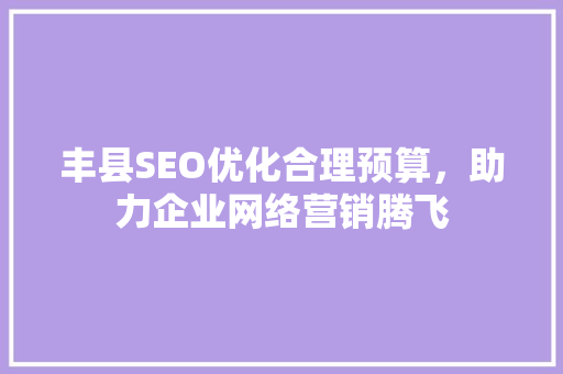 丰县SEO优化合理预算，助力企业网络营销腾飞