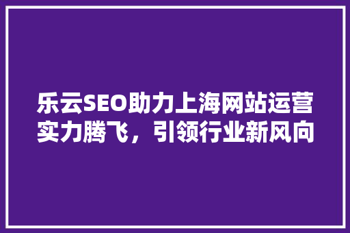 乐云SEO助力上海网站运营实力腾飞，引领行业新风向