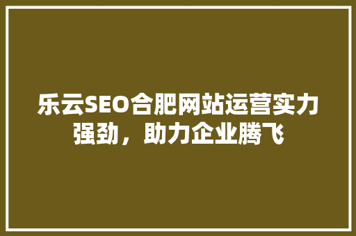乐云SEO合肥网站运营实力强劲，助力企业腾飞