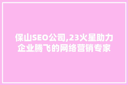 保山SEO公司,23火星助力企业腾飞的网络营销专家