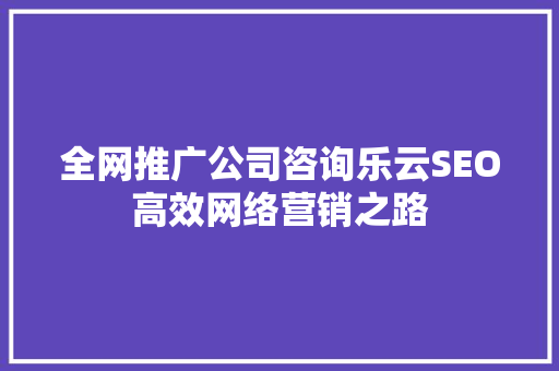 全网推广公司咨询乐云SEO高效网络营销之路