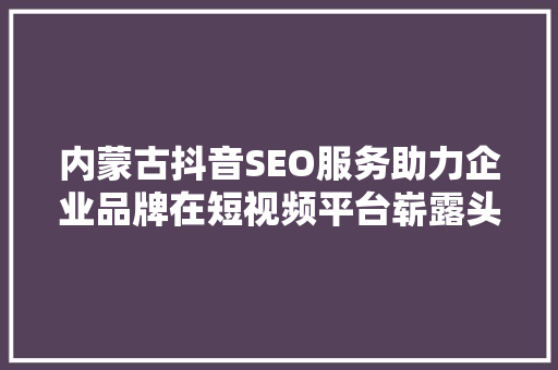 内蒙古抖音SEO服务助力企业品牌在短视频平台崭露头角