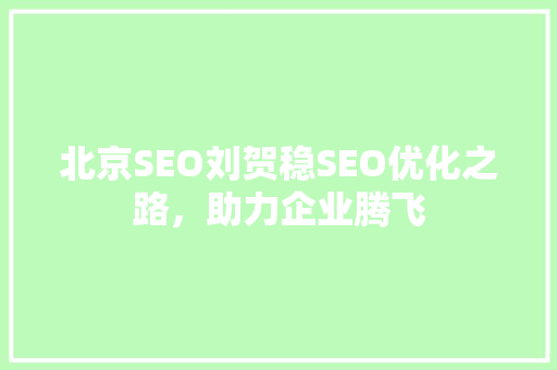 北京SEO刘贺稳SEO优化之路，助力企业腾飞