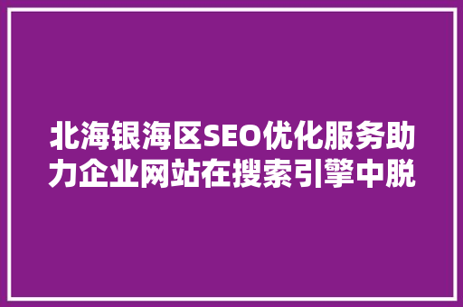 北海银海区SEO优化服务助力企业网站在搜索引擎中脱颖而出