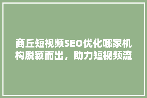 商丘短视频SEO优化哪家机构脱颖而出，助力短视频流量倍增