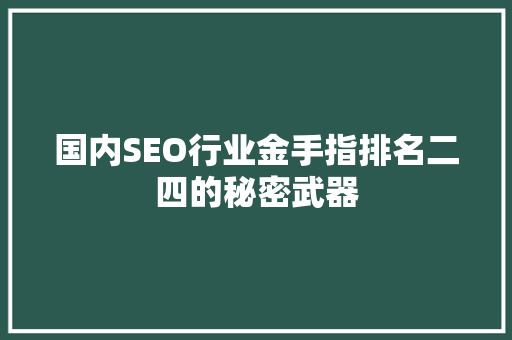 国内SEO行业金手指排名二四的秘密武器