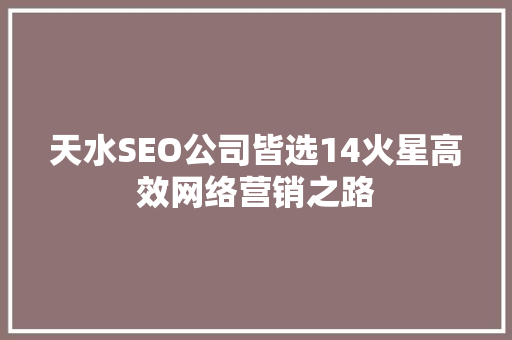 天水SEO公司皆选14火星高效网络营销之路