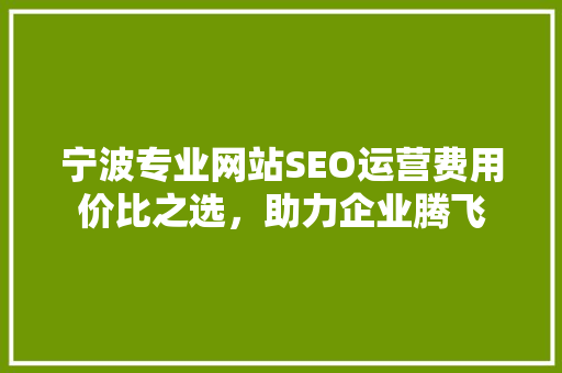 宁波专业网站SEO运营费用价比之选，助力企业腾飞