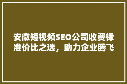 安徽短视频SEO公司收费标准价比之选，助力企业腾飞