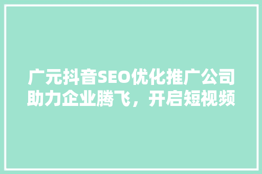 广元抖音SEO优化推广公司助力企业腾飞，开启短视频营销新篇章